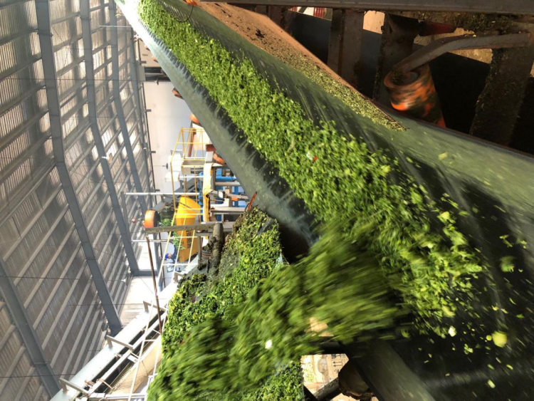 1741569404189583.png d3.png