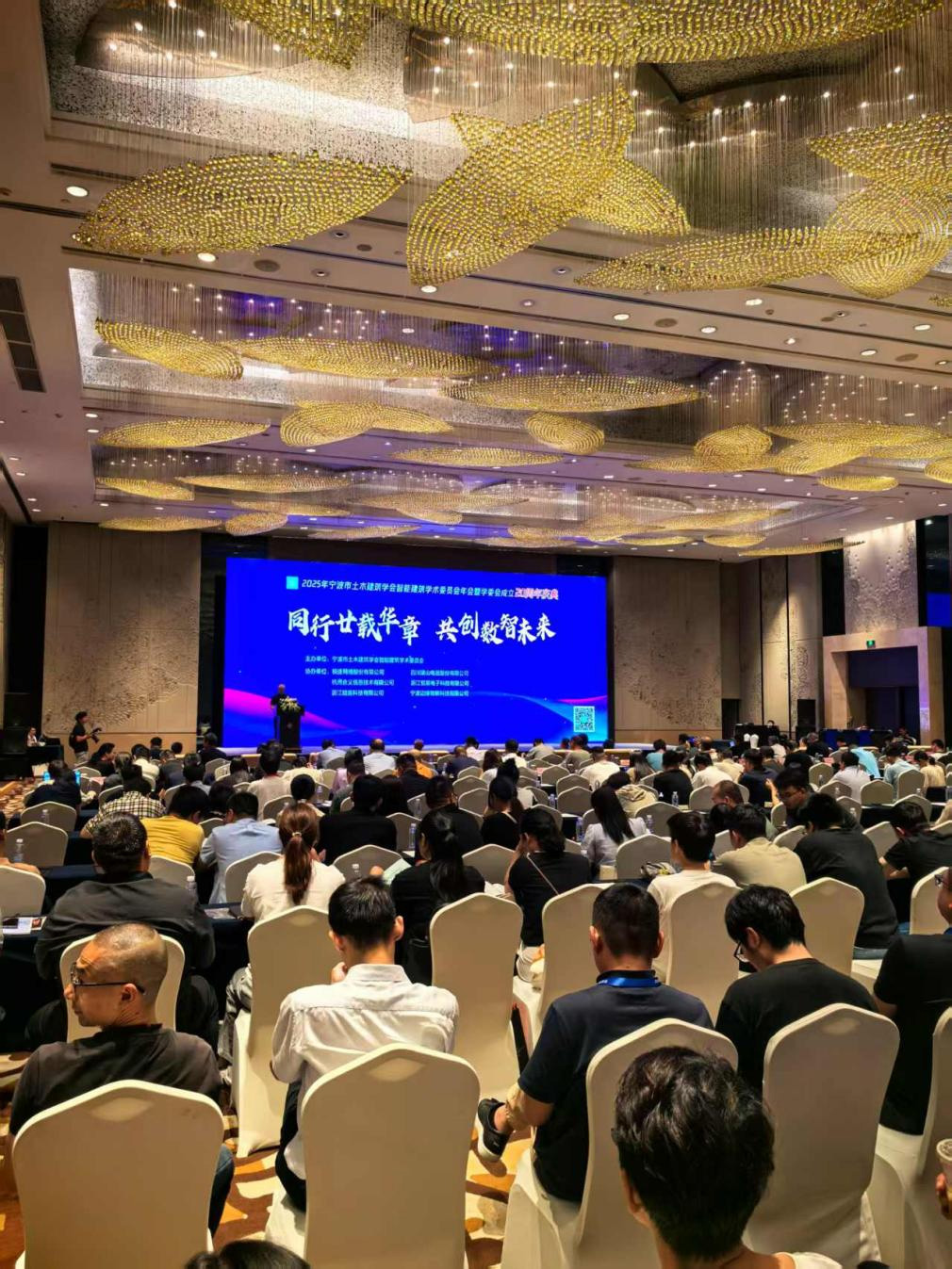 1751275214605668.jpg d1.jpg